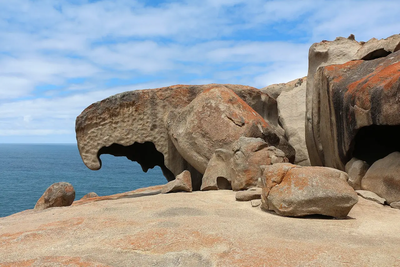 ภาพออสเตรเลีย: อะเดเลด Barossa Kangaroo Island 2569: ตั๋วอุทยาน เรือ
