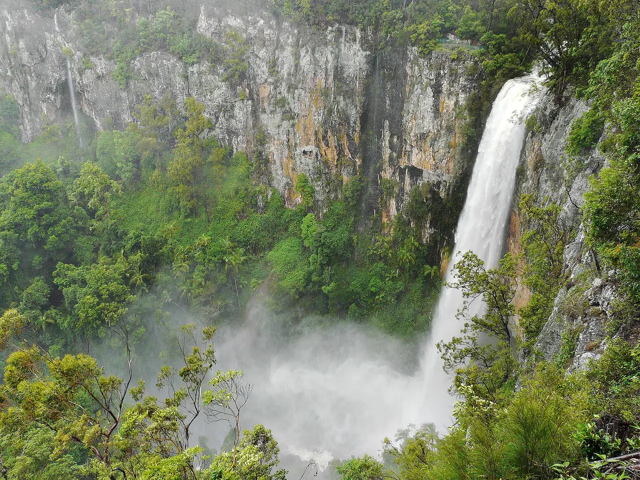 น้ำตก Purling Brook Falls ตกจากหน้าผาท่ามกลางป่าและหมอก ใน Springbrook National Park ภาพจาก Wikimedia Commons ผู้ถ่าย Mike Young แก้ไขโดย Thegreenj สัญญา CC BY-SA 4.0