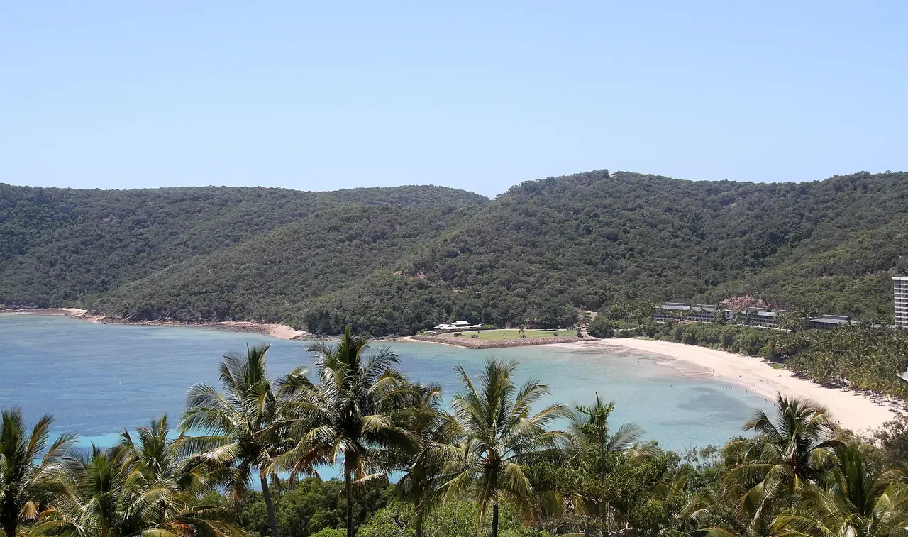 ชายหาด Catseye Beach บน Hamilton Island ล้อมด้วยต้นปาล์มและเนินเขา ภาพจาก Wikimedia Commons ผู้ถ่าย Tony Hisgett สัญญา CC BY 2.0