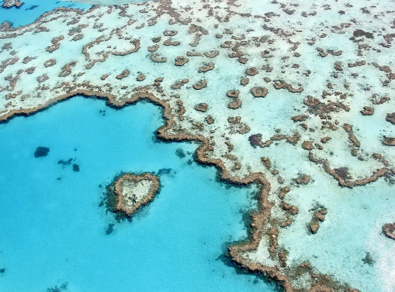 Heart Reef แนวปะการังรูปหัวใจในหมู่เกาะ Whitsunday ถ่ายจากมุมสูง ภาพจาก Wikimedia Commons ผู้ถ่าย Alphasauce สัญญา CC BY-SA 4.0 เป็นภาพประกอบ ไม่ใช่ภาพจากทัวร์เรือ