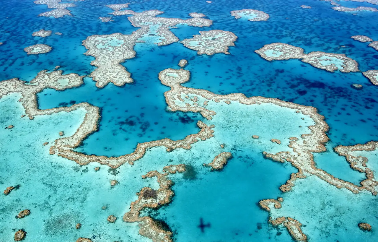 แนวปะการังบริเวณใกล้ Airlie Beach ในหมู่เกาะ Whitsunday ถ่ายจากเหนือพื้นที่ มองเห็นลวดลายปะการังและน้ำสีฟ้า ภาพจาก Wikimedia Commons ผู้ถ่าย Ayanadak123 สัญญา CC BY-SA 4.0