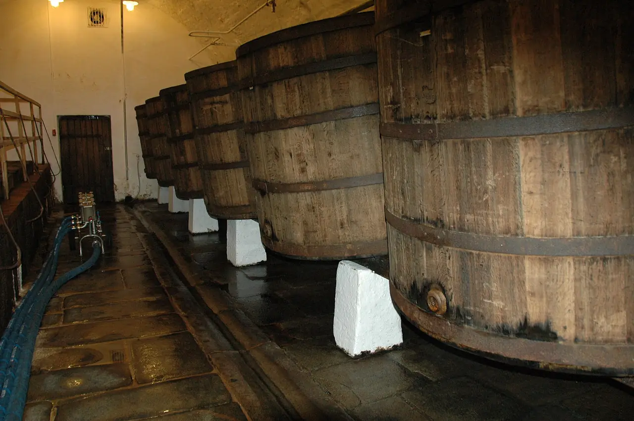 ถังหมักไม้ขนาดใหญ่ในห้องเก็บถังของโรงเบียร์ ชื่อไฟล์ PilsnerUrquell03 ภาพจาก Wikimedia Commons ผู้ถ่าย P.H. Louw สัญญา CC BY 2.5 NL เป็นภาพเก่าไม่ทราบปี และไม่ยืนยันว่าเป็นห้องที่ใช้ในทัวร์ปัจจุบัน