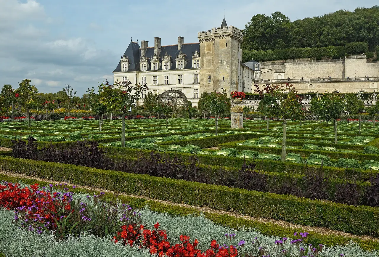 สวนผักและสวนดอกไม้แบบเรขาคณิตของ Château de Villandry มีตัวปราสาทอยู่ด้านหลัง ภาพจาก Wikimedia Commons ผู้ถ่าย Ввласенко สัญญา CC BY-SA 3.0