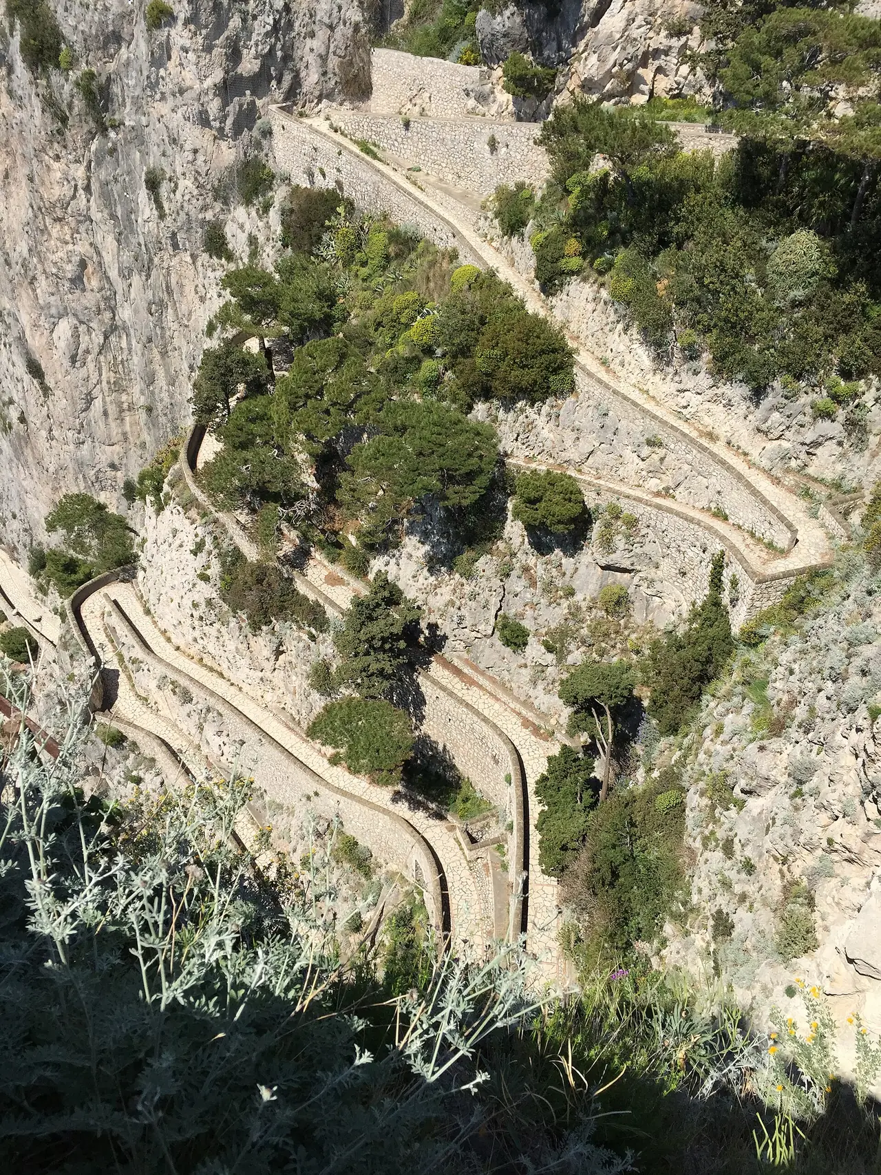 ถนน Via Krupp คดเคี้ยวลงหน้าผามองจาก Gardens of Augustus ภาพจาก Wikimedia Commons ผู้ถ่าย DavidCane สัญญา CC BY-SA 4.0