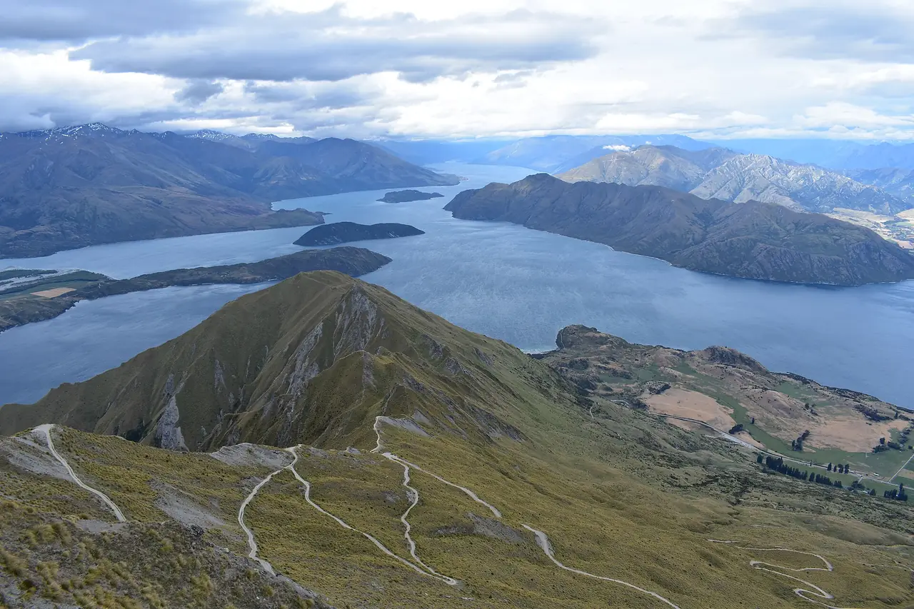 ภาพนิวซีแลนด์: เที่ยววานากา 2569: Roys Peak ปิดถึง 10 พ.ย. Wanaka Tree